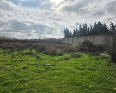 Albalılqda 8 sot torpaq satılır