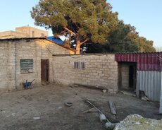 Ferma satılır