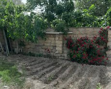 Sumqayit həyət evi 2 sotda