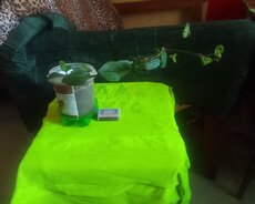 Bitki satıram
