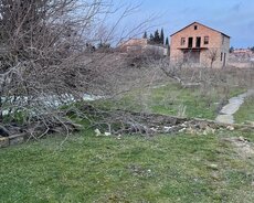 Nardaran qəs, sea Breeze