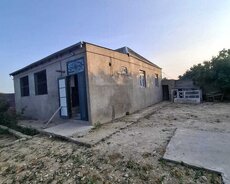 8 sot`da 3 otaqlı həyət evi satılır
