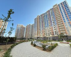 Yasamal rayon., Asan xidmətin arxası