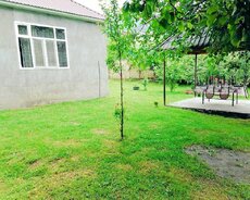 Kirayə verilən ev Qəbələnin mərkəzi səfalı guşəsi olan Qəbəl