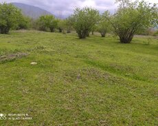 Torpaq Qəbələ Rayonuda yerləşir