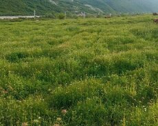 Biznes üçün torpaq