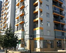 Təcili 50 kvm obyekt icarəyə verilir
