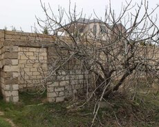 albali baglari