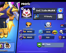 Bravl stars