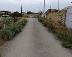 Torpaq sahəsi