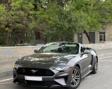 Mustang kirayəsi Depozitsiz