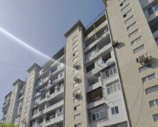 Əhmədeli Neapol dairəsi