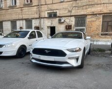 Ford Mustang günlük icarəsi