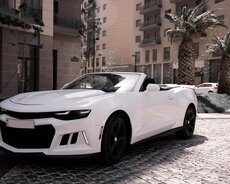 Camaro icarəsi günlük