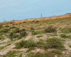 Şıxlar bağ massivində 12 sot torpaq / Ələt