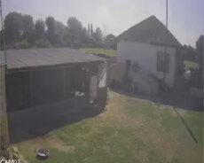 çoban axtarilir
