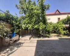 6 sot torpaq sahesi satilir