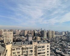 Сдается в аренду 2-х комнатный офис