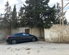 Qala qəs