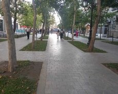 2 otaq ofis kirayə verilir