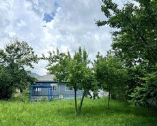 Qəbələdə 2 otaqlı həyət evi/bağ evi kirayə verilir