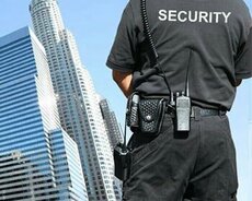 Tikintiyə Monitor Arxası Mühafizəçi bəy tələb edilir 88