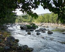 Torpaq satışı/ satılır/Lənkəran/kupçalı/ çay ətrafı