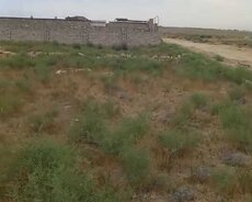 ləhiş bağlarında 3 sot torpaq satılır
