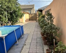 Starexs firmasının hovuzudu