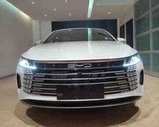 Водитель для арендованных автомобилей