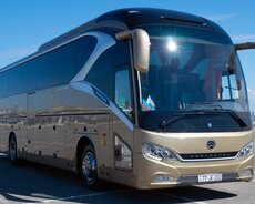 Vip Avtobus icarəsi