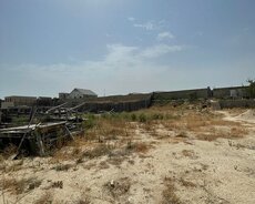 Pirşağı Qızılqum çimərliyinə yaxın torpaq