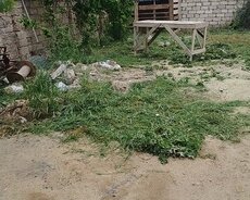 Ramanı savxoz 163 maşurut astanofkaya yaxın