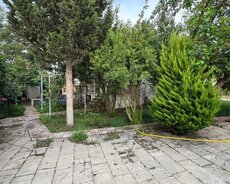 Buzovna albali baglari