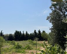 Bilgəh qəsəbəsi dənnizkənarı dalanlardan birində