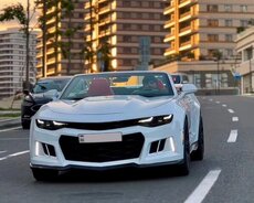 Camaro icarəsi günlük