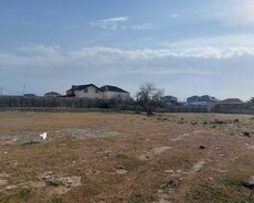 Buzovna a\lbali baglari
