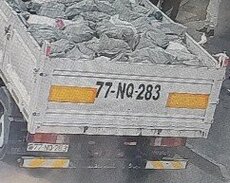 Zibil dasinmasi