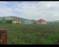 12 sot torpaq sahesi satilir Gədəbəy rayonu slavyanka kendi