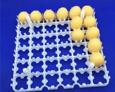 Toyuq yumurtası üçün Latok