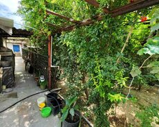 Maştağa Buzovna yolunda 4 otaqlı ev satılır