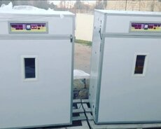 İnkubator satışı, yenidir