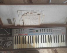 Musiqi ruhun qidasıdır