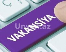 Pedaqoji sahədə təcrübəsi olan üçün ofis daxili işlər təklif