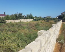 Nardaran bağlarında 15 sot çıxarış