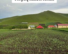 Torpaq Satılır