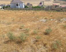 Novxanı qəsəbəsi, Məhəmməd Əsədov küçəsi