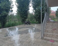 Qəçrəsdə günlük kirayə ev