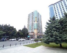 koola prkin yaninda, Azadliq pr