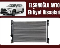 "Toyota Rav4 2021" su radiatoru